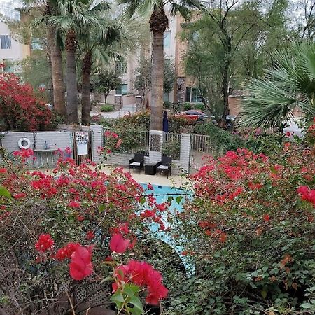 Desert Rose Villas - Private One Bedroom In Old Town Scottsdale Exteriör bild