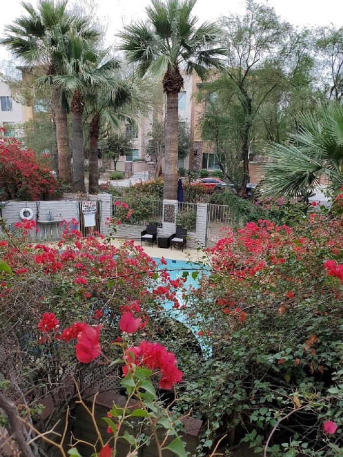 Desert Rose Villas - Private One Bedroom In Old Town Scottsdale Exteriör bild